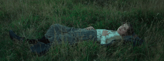 chris in grass breaks fourth wall