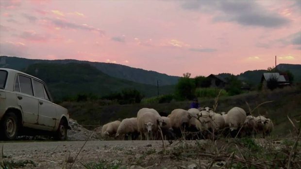 cameraperson-1-620x349