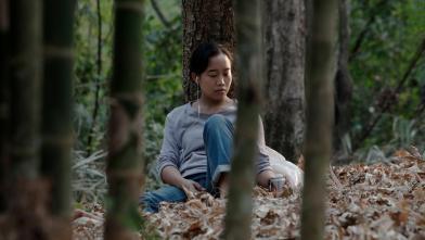 589cf340-405e-463f-a091-c826ff9c7447