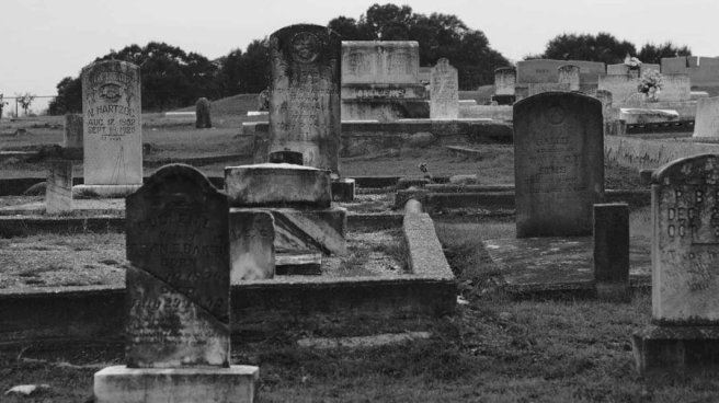 wonder_6_wide-e42933213d9127a10d236896657450cdd53dd0a3-s900-c85